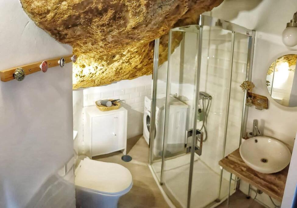 Casa Cueva La Luna Setenil De Las Bodegas エクステリア 写真